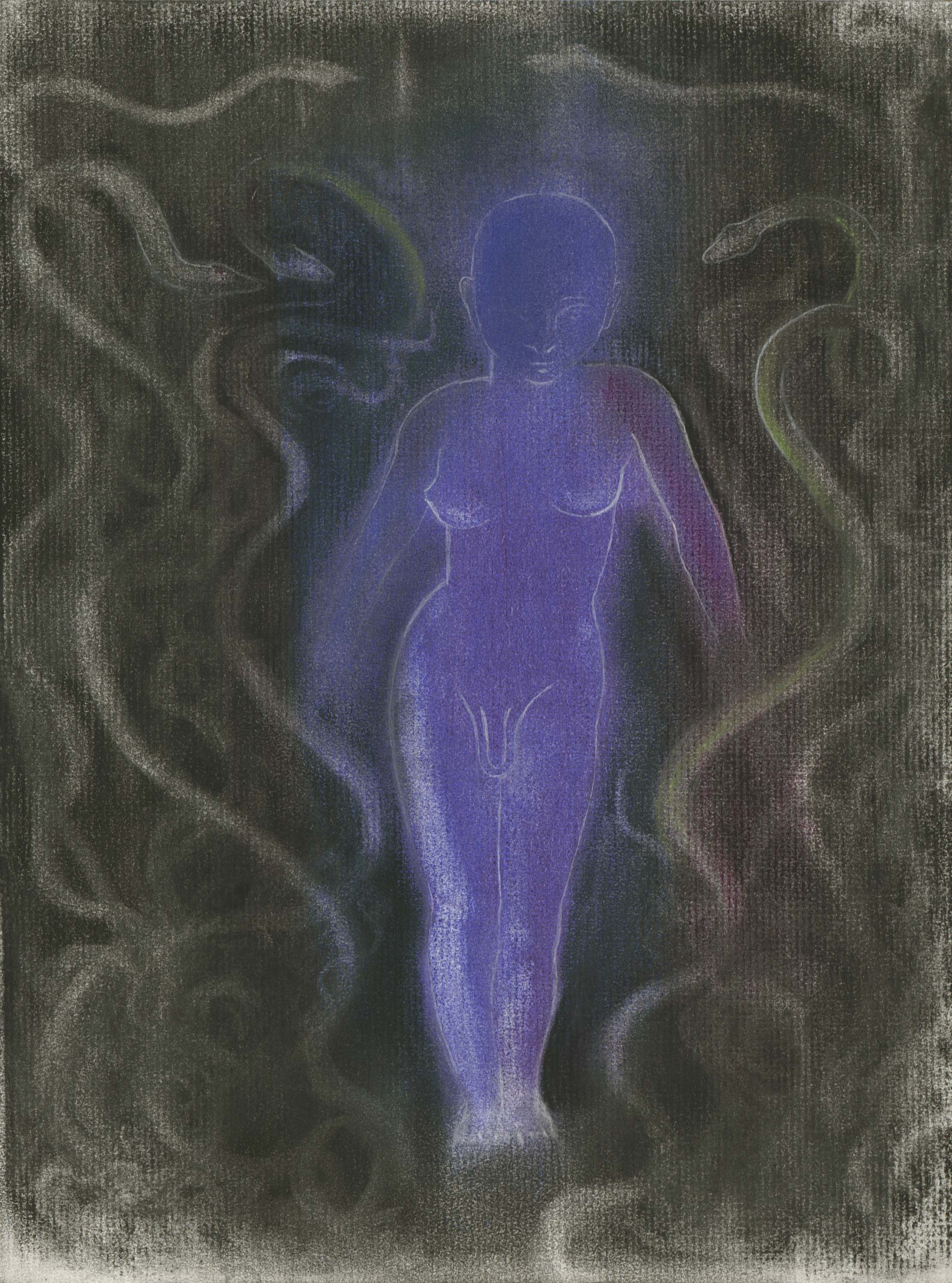 Hermaphrodite, 2016, charcoal and pastel on paper, 30.6x22.7