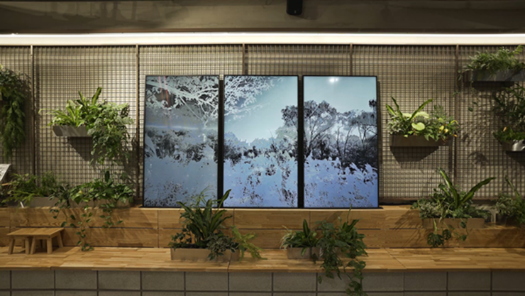 다음 역은 사이숲_2020