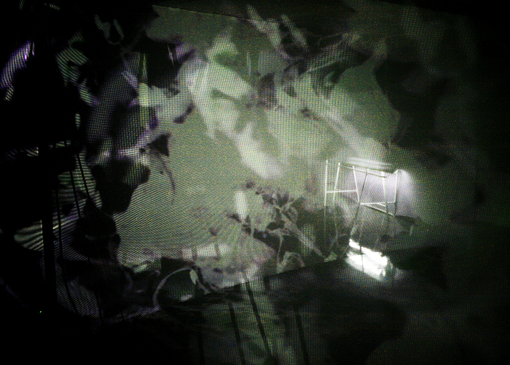 projection detail