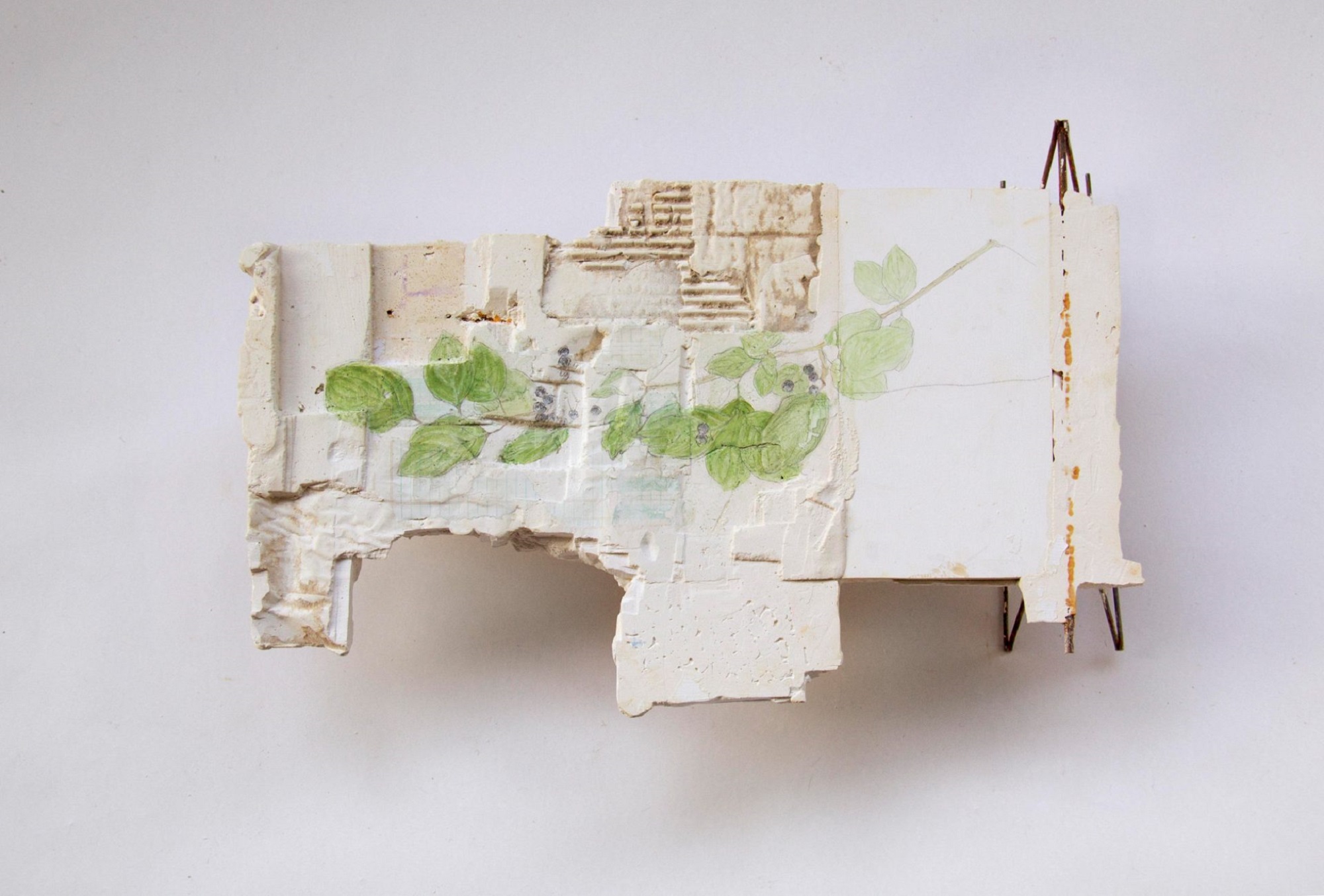 "Jardín de Dibujos". Técnica mixta, dimensiones variables, 2018-2019 / Garden of Drawings. Mixed media, varying sizes, 2018-2019