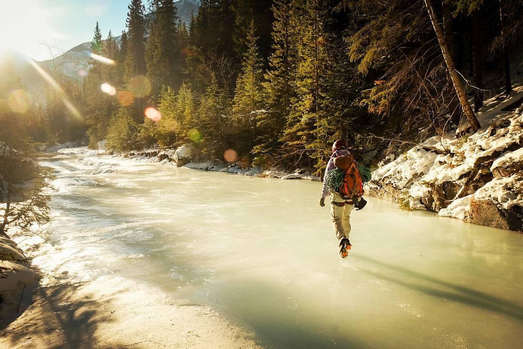 ︎Nicholaus Vieira