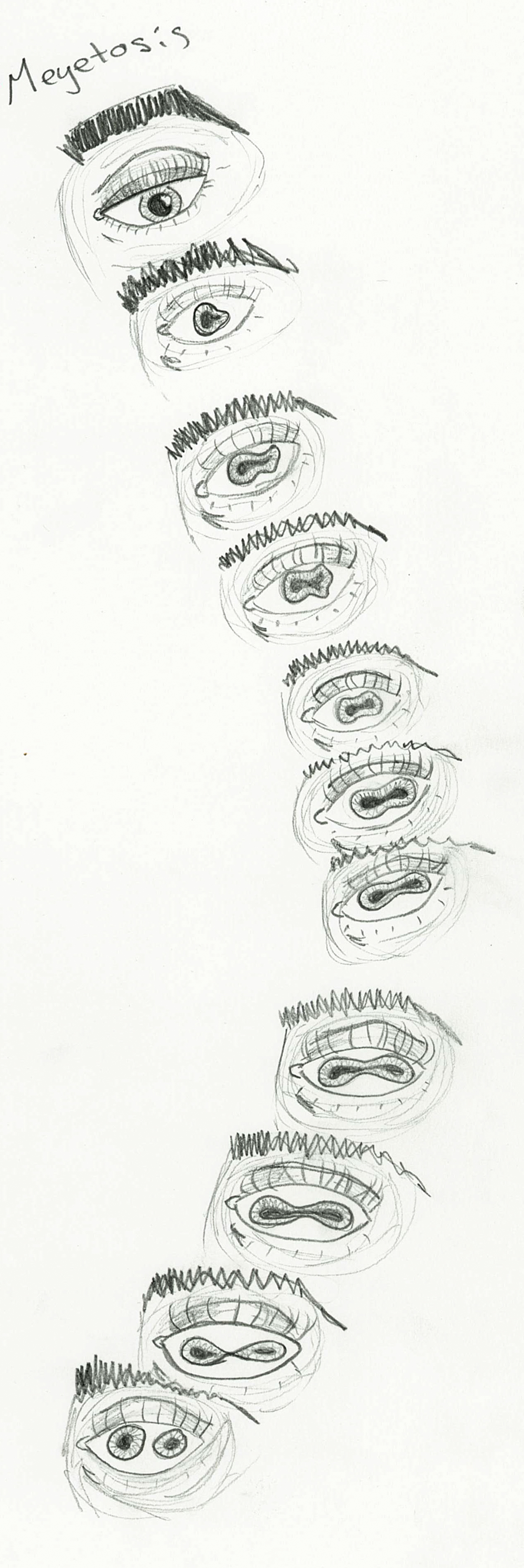 Meyetosis // 2020, made with pencil