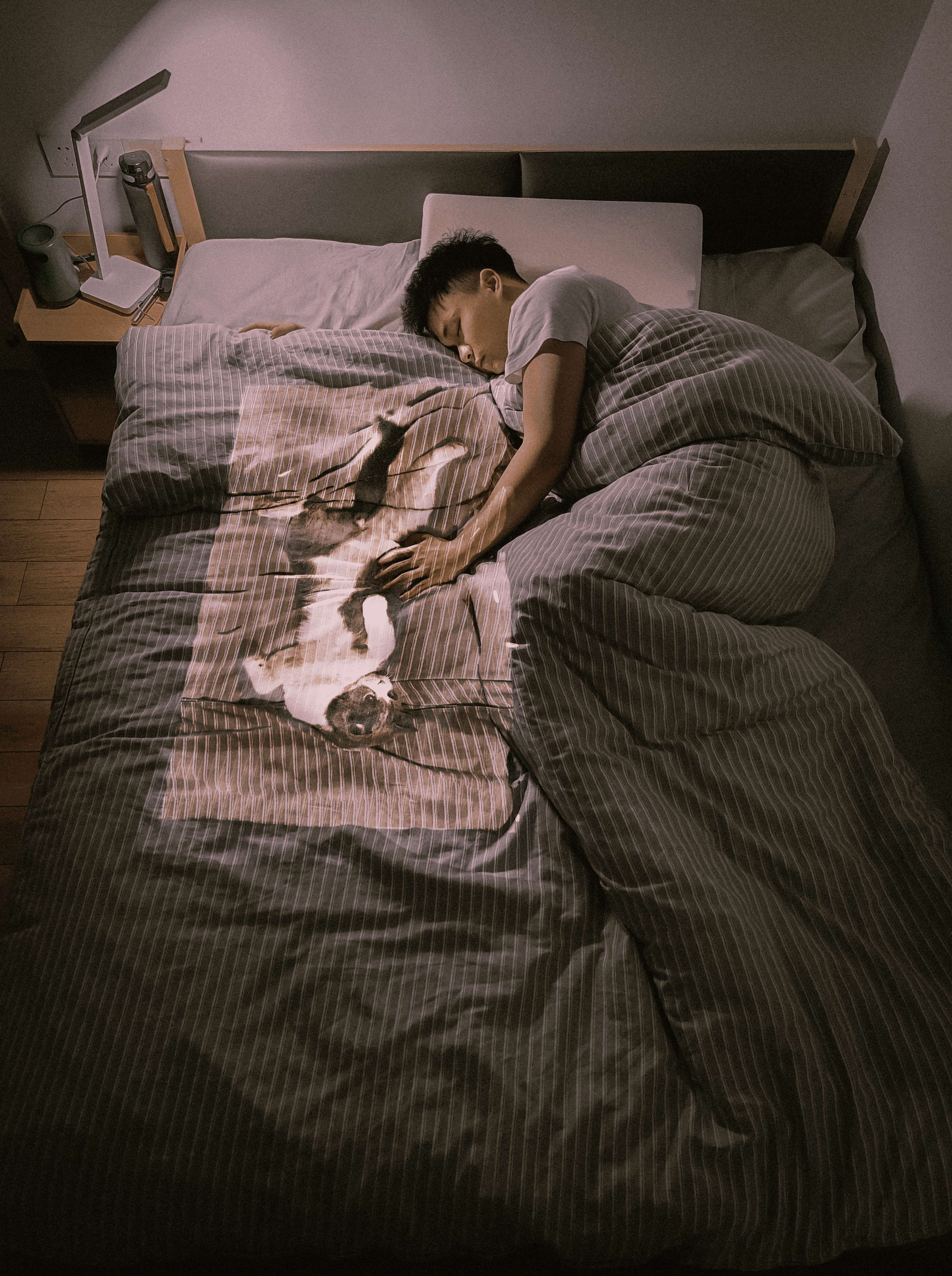 To You, Far Away / 2020