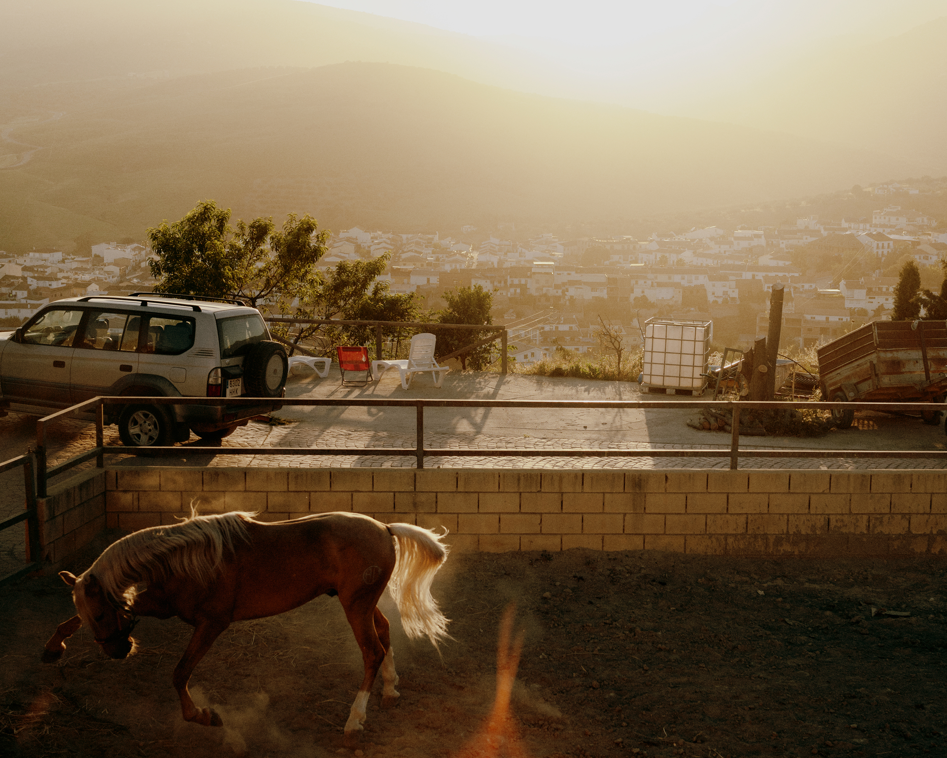 Dusty horse, Riogordo