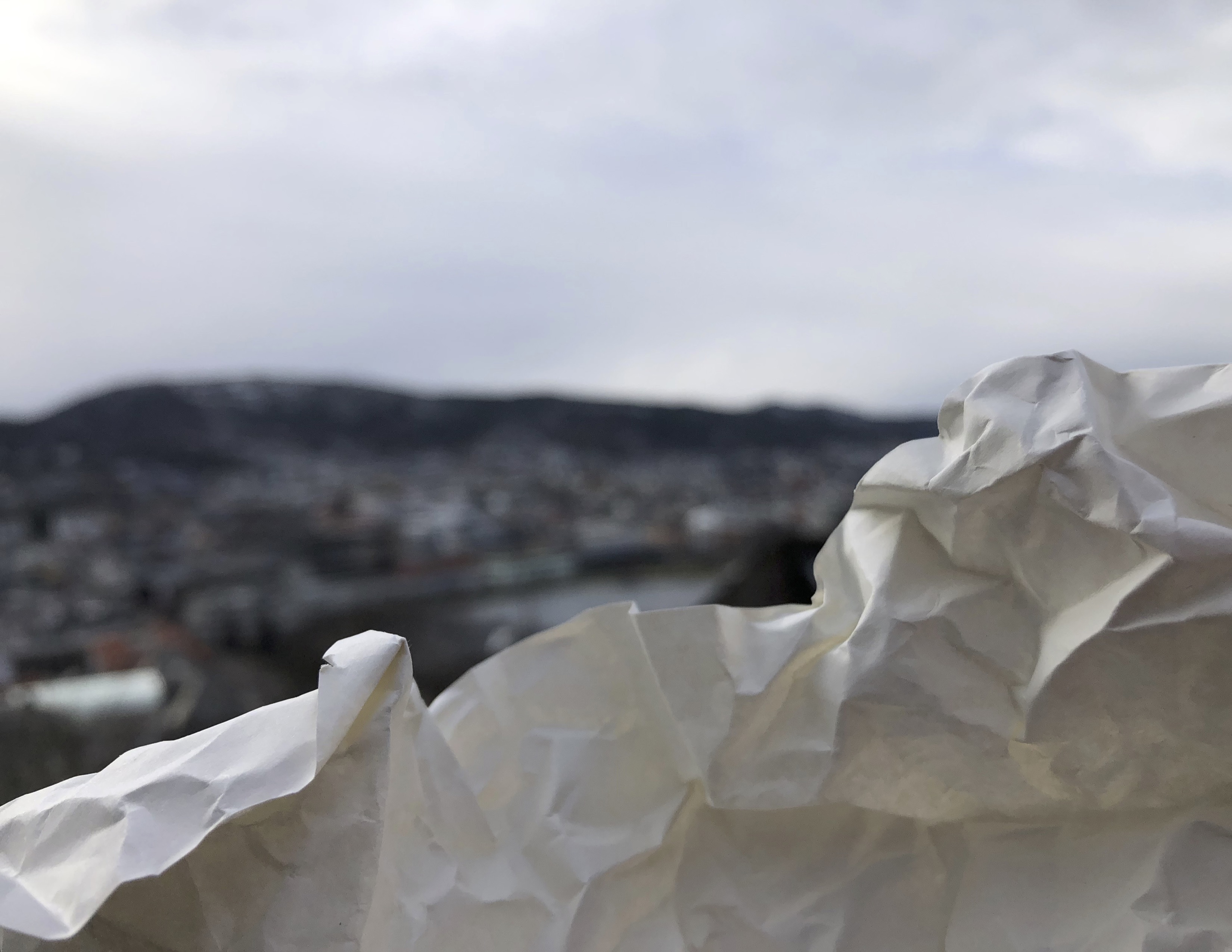 Further attempts introduce change in shape and texture.