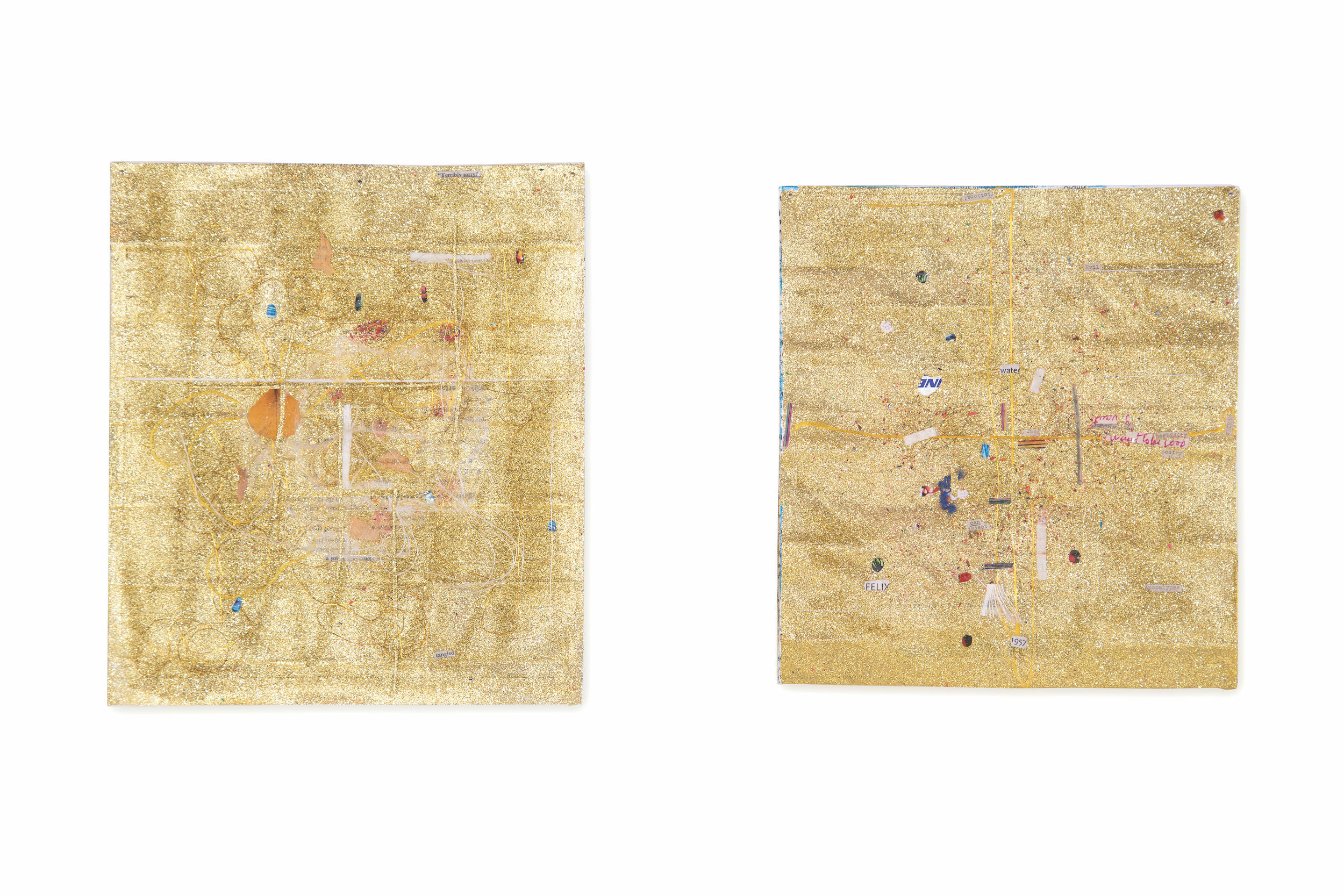  Nem Tudo Que Brilha é Ouro, 2016 . Glitter, hair, dry petals of flowers and fragments of cloth and paper on medicine information leaflets . 30 x 25 cm, 27 x 24 cm . Célio Braga ‘Abluções’ 2016, MAC-Goiás, Brasil