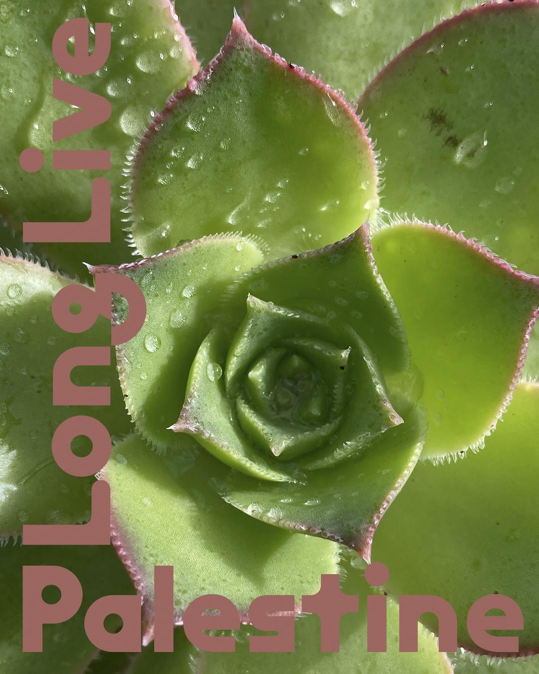 Aster Reem David, images from a digital repository of Palestine Solidarity Posters. Image courtesy of the artist.