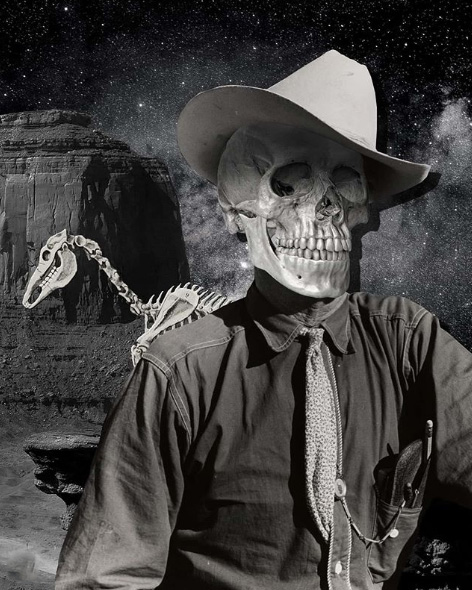 Regina Lafay Bellamy