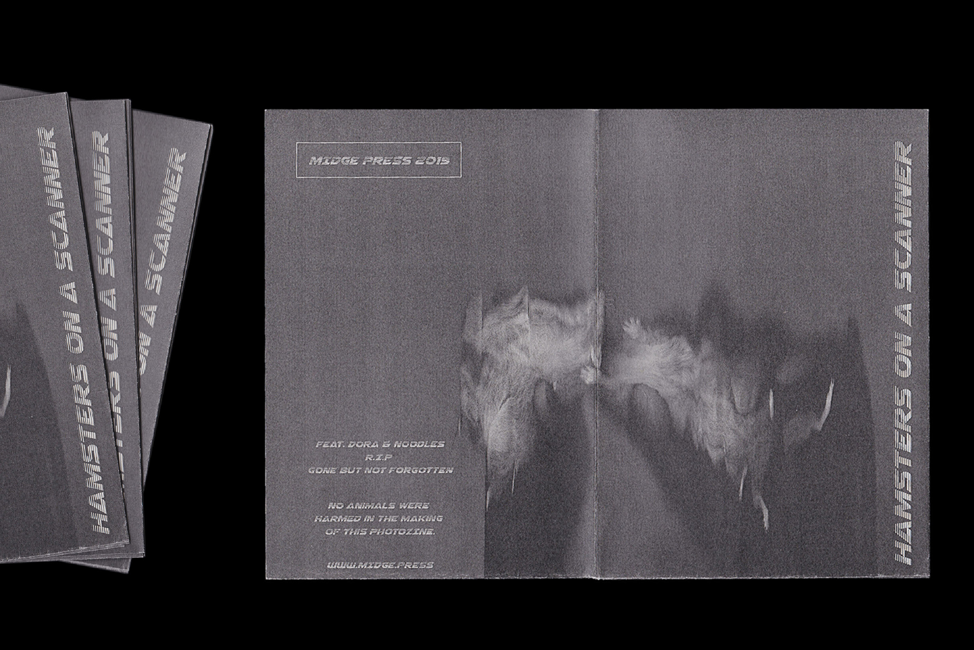 5 / 5 |Self-Publishing, Graphic Design, Illustration