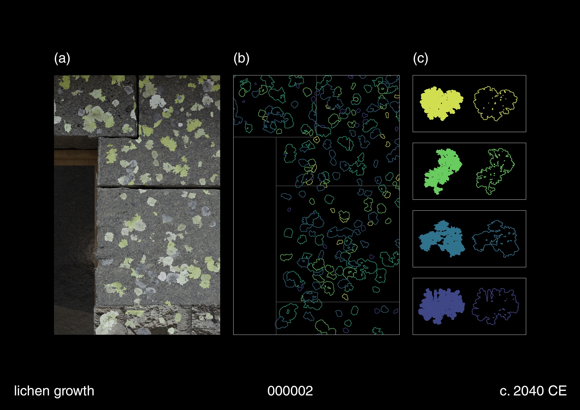 Lichen growth mapping, 2040