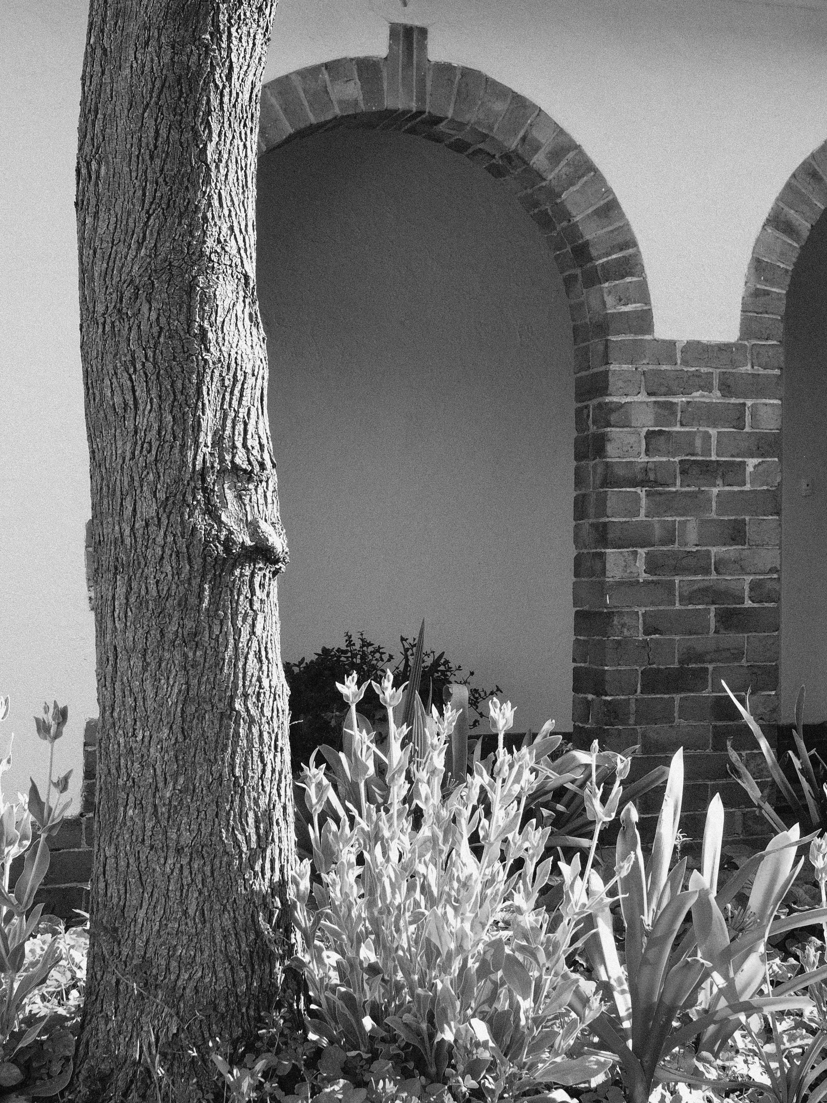 Glen Iris - In Construction