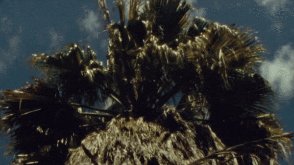 Ama Lou for Notion Mag