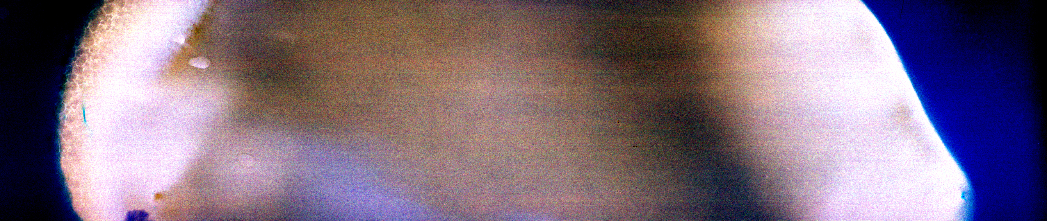 CLAMCAM.sabinpoint.01, 22 inches x 6 inches, Archival Inkjet Print