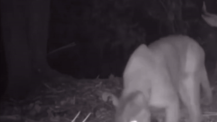 No Lifeguard on Duty