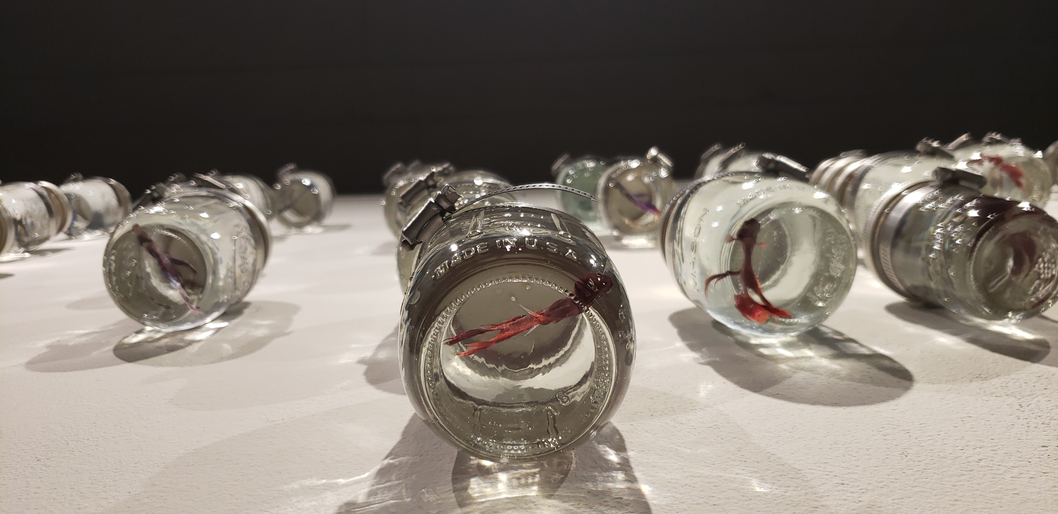 This Is Mutual |2018|