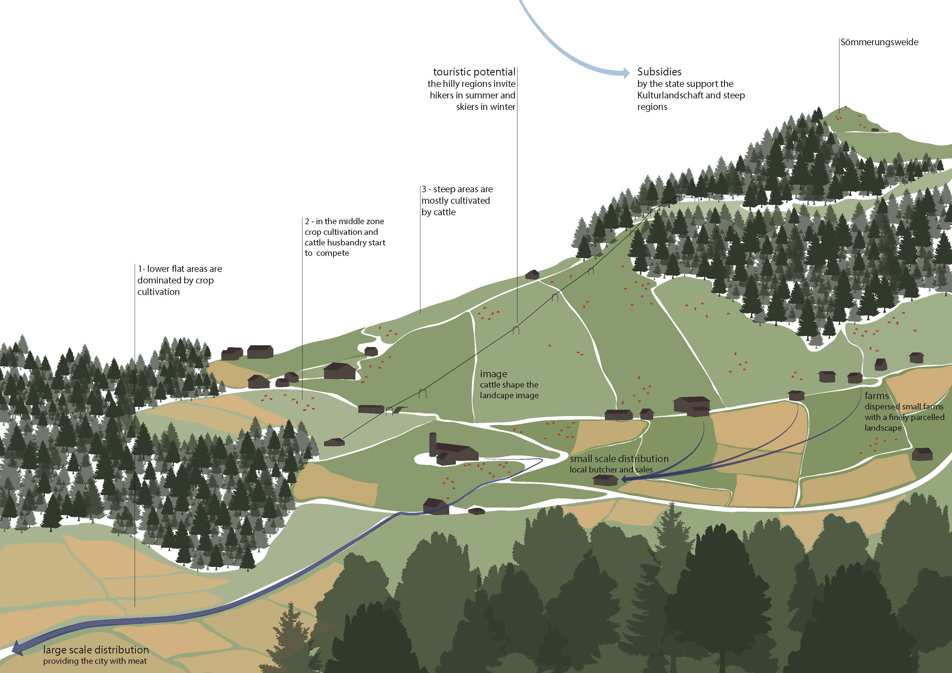 Current situation of animal farming within Swiss landscape.