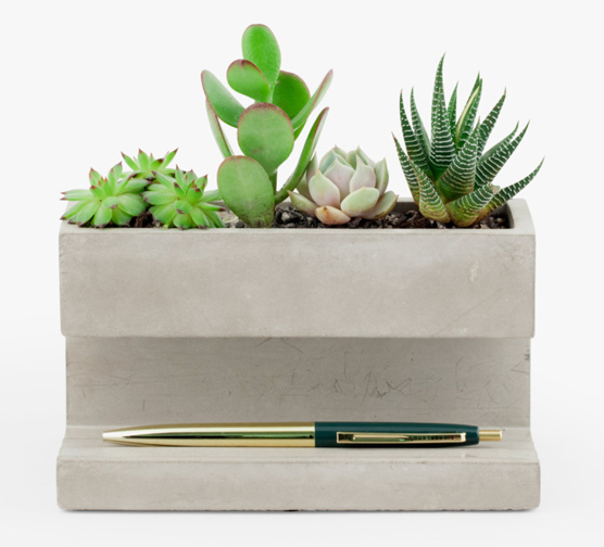 Desktop Planter