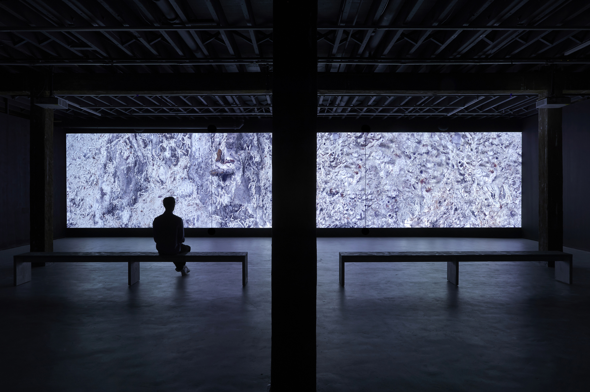 ARTSPACE, SYDNEY, 2019. Photo: Zan Wemberley