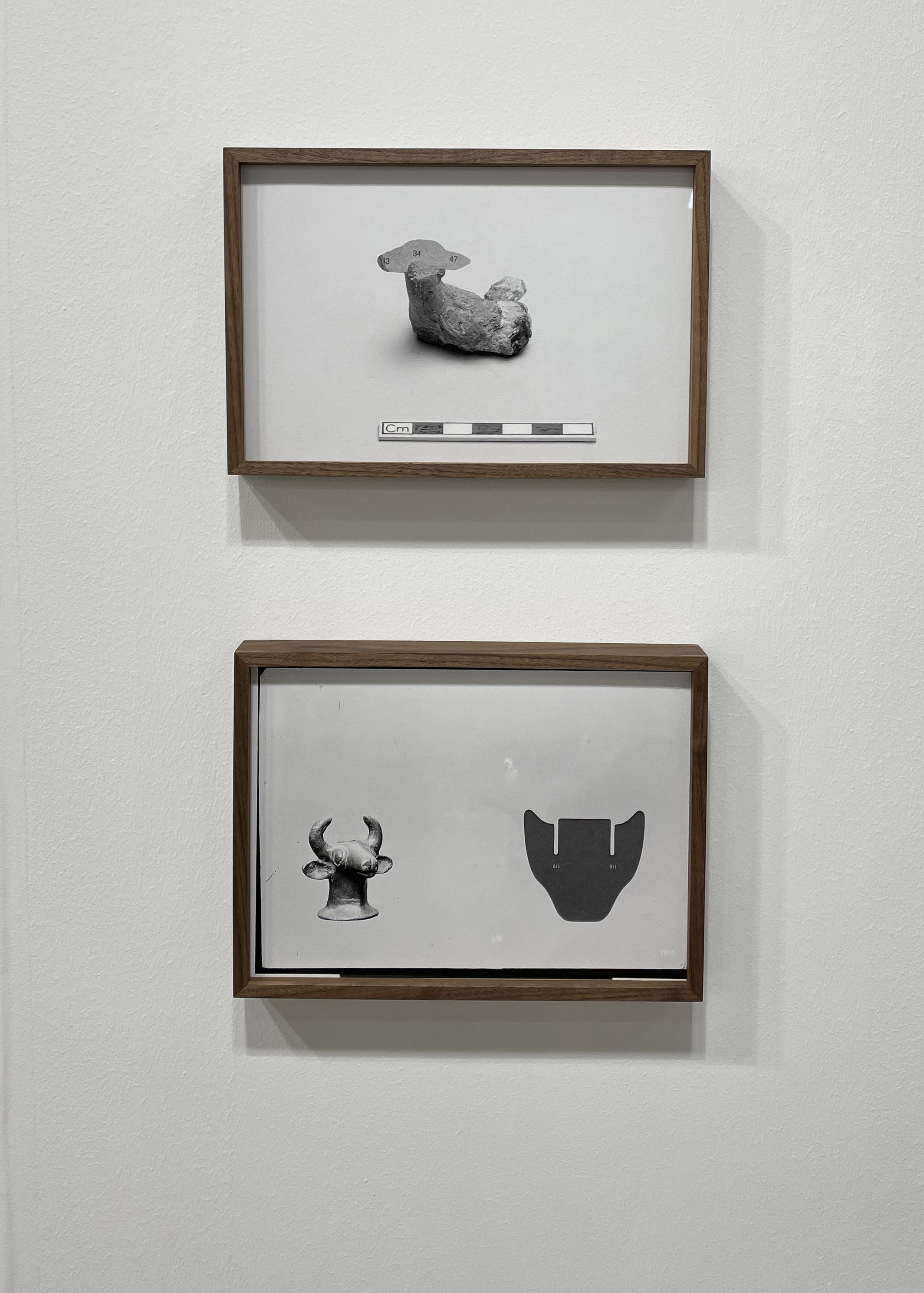 Hybrid Animal and Hornes, Modular Artefacts, Unseen photo fair 2021