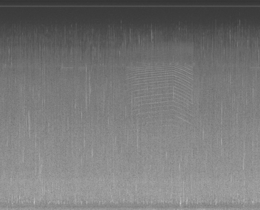 Cigarra no igarapé. Print de waveform, 2022.