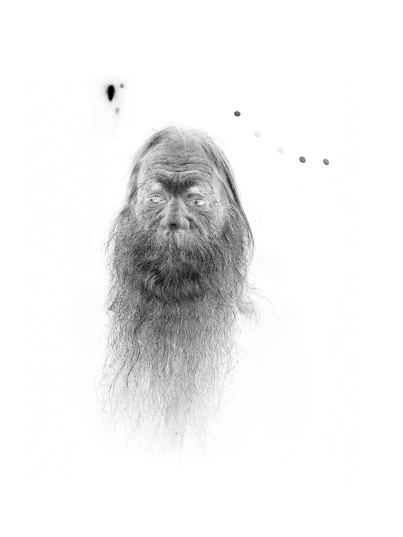 'Bearded Man', Los Angeles (2015)