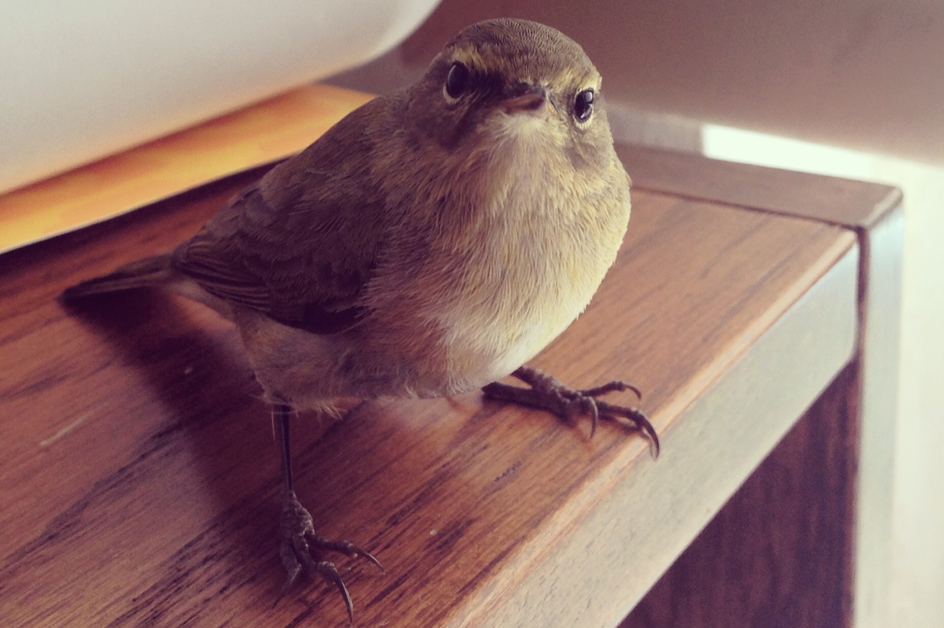 26.03.2015, Kışla binası