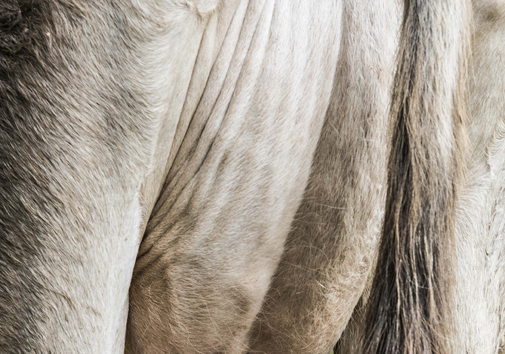PHOTOGRAPHY RAF STUDIO for YOSHIDA's FARM at  VILLA KUJOYAMA