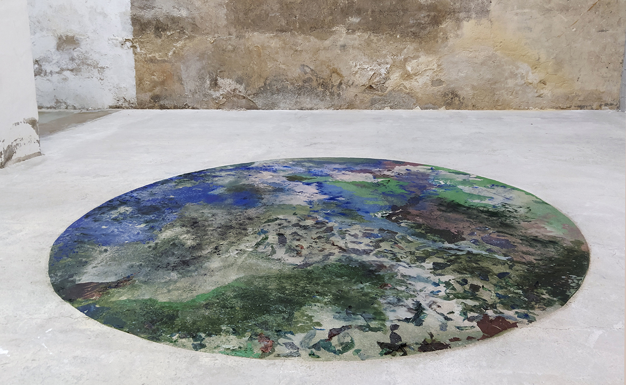 TOP VIEW (EARTH ARCHIVE)