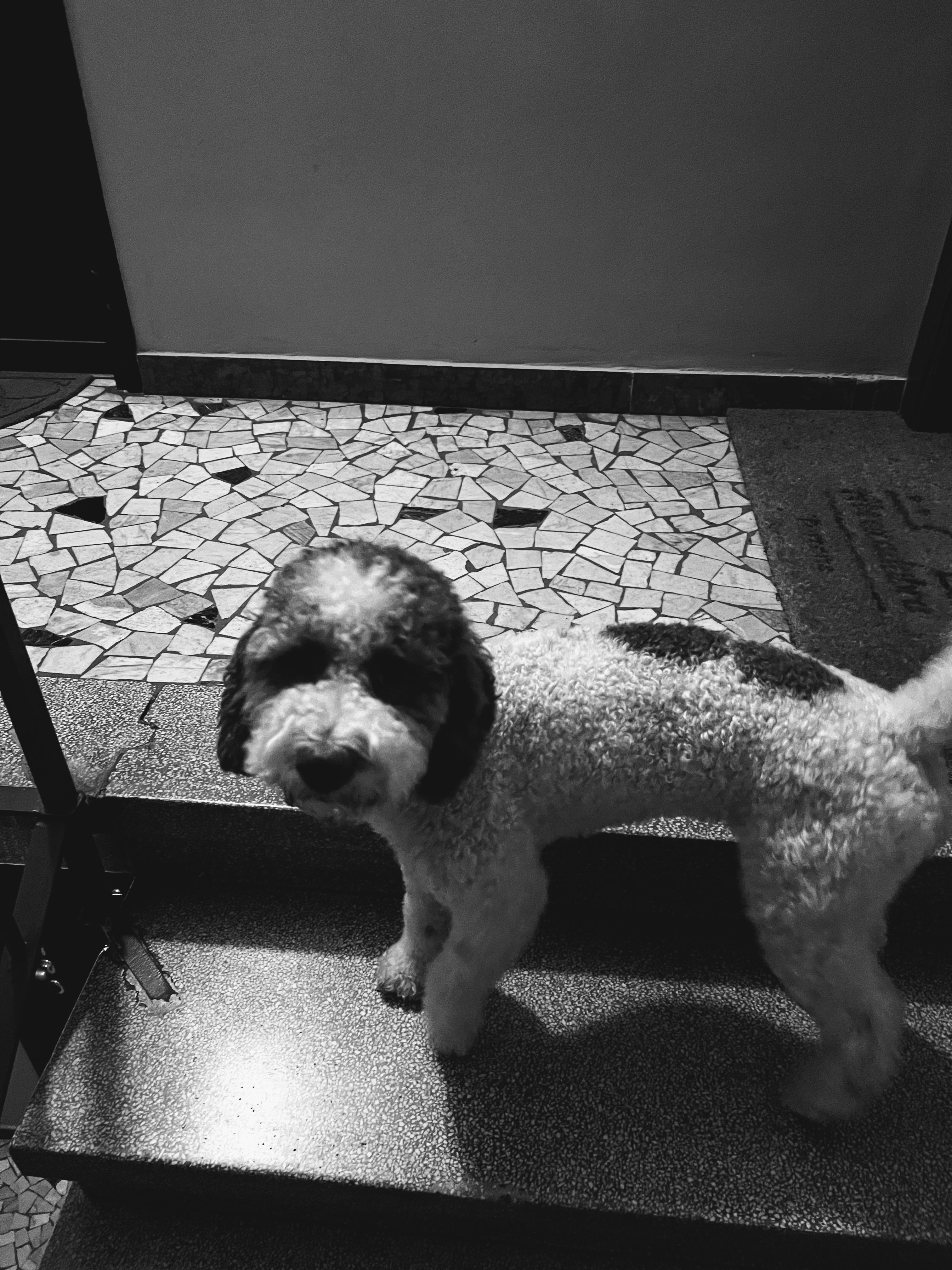 Lei mi ha seguito, di notte, fino alla camera del B&B. Milano, 6-5-23