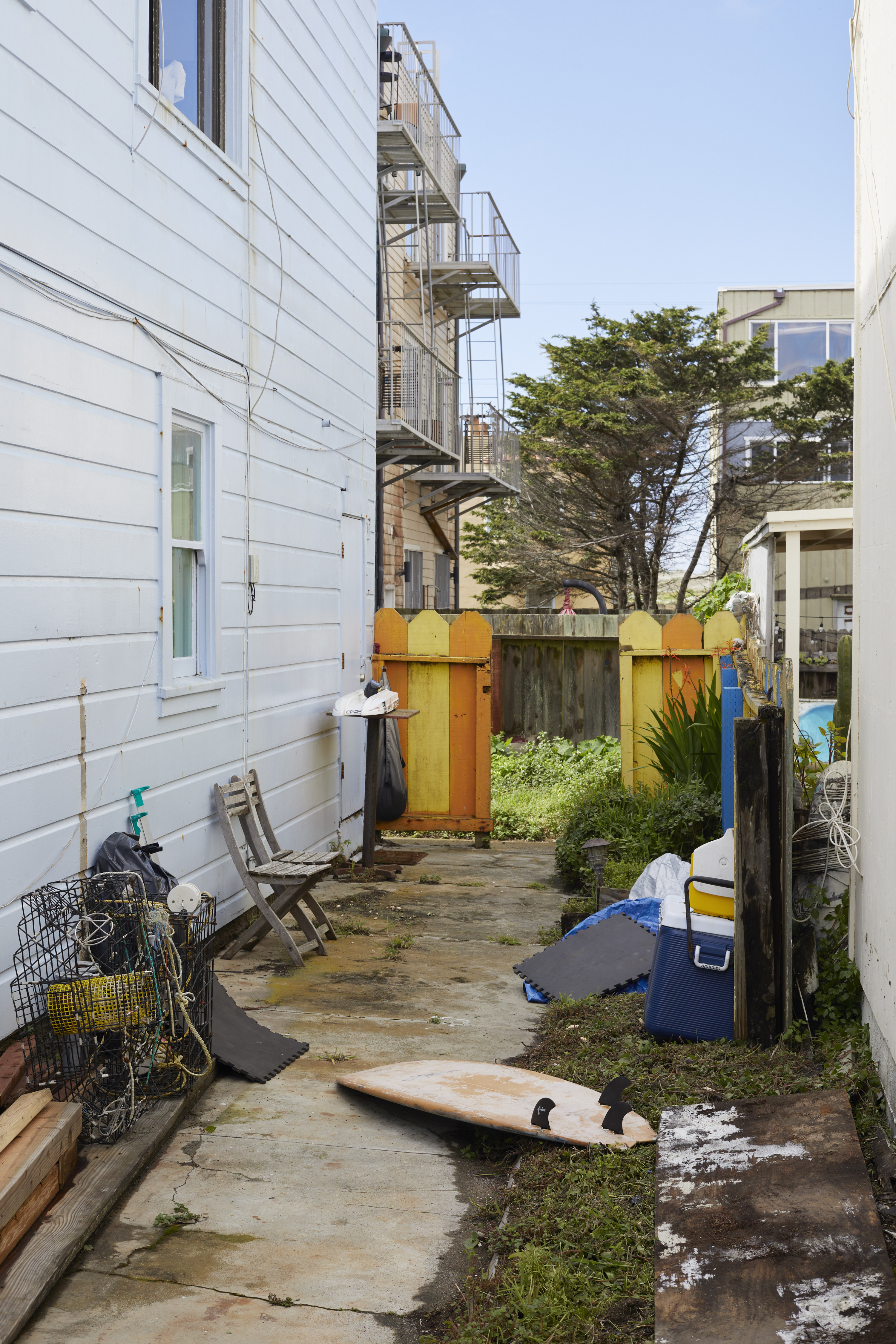 julien cregut-Lost Dogs-©juliencregut