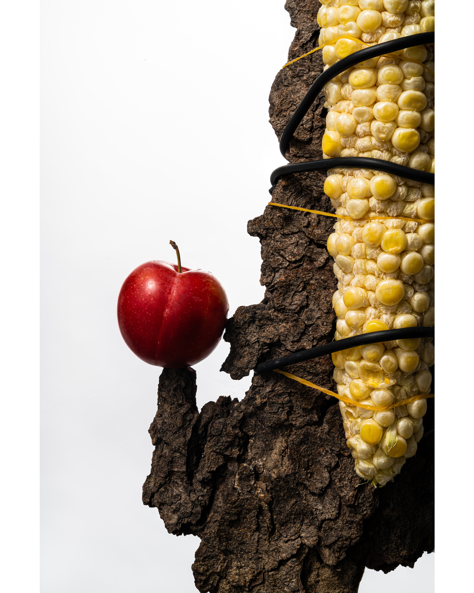 The Lines Of Communication Are Now Open