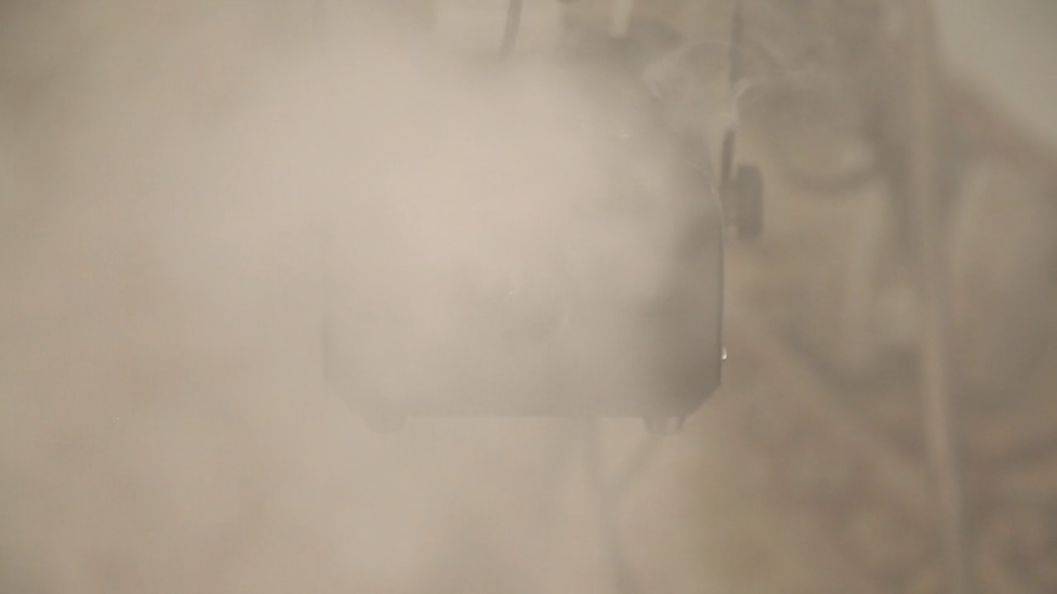Everybody is Confused, 2020, filmstill
