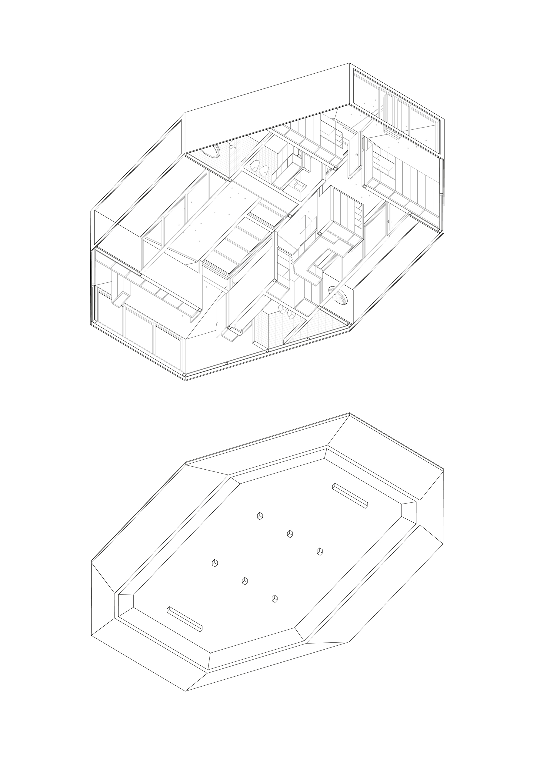 Organizacion Interna