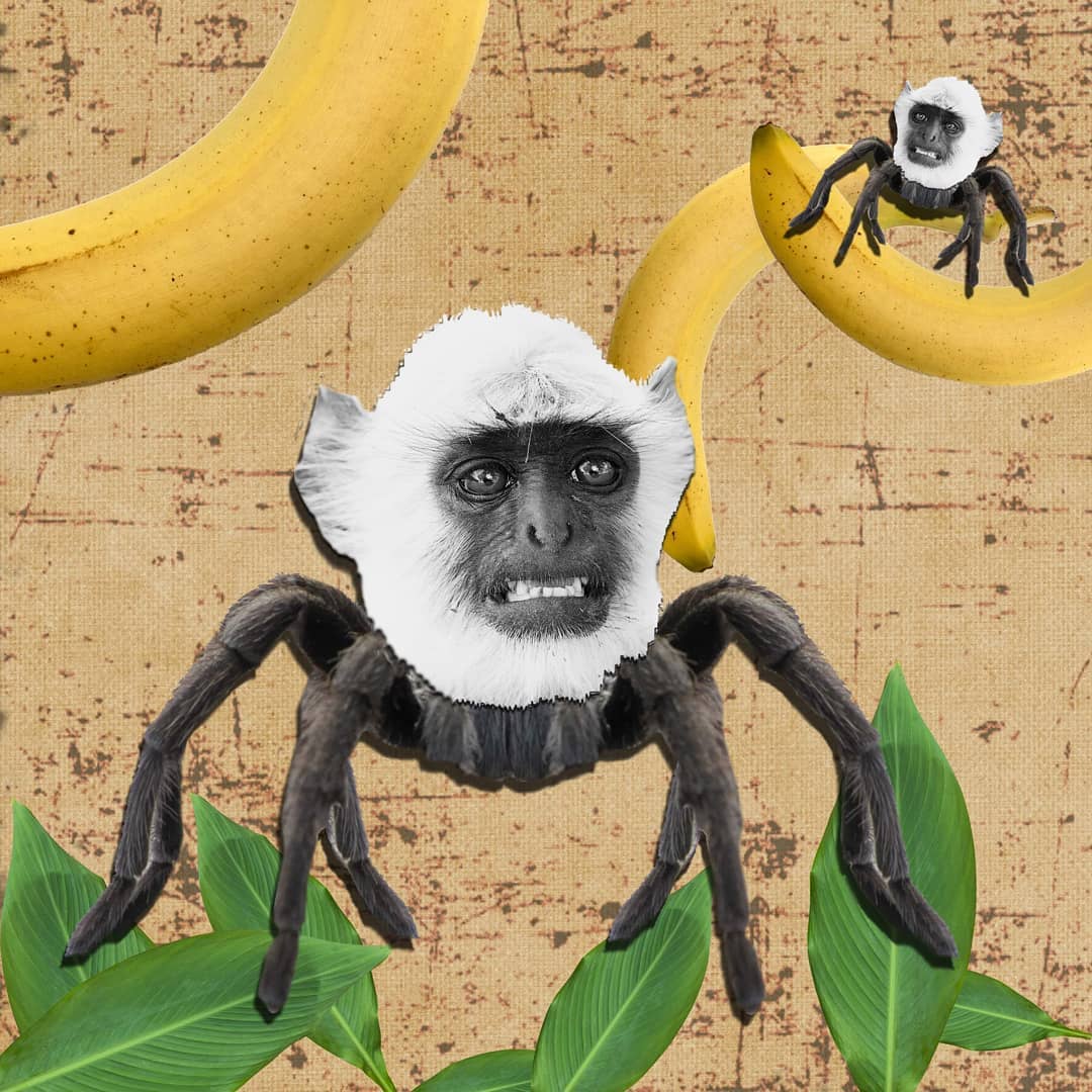 Regina Lafay Bellamy