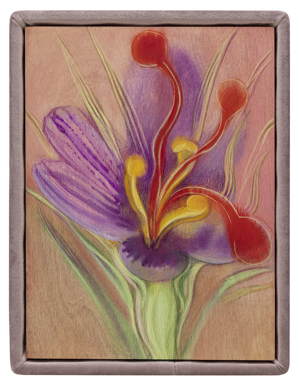 Alina Bliumis Saffron, série Plant Parenthood, 2022 Aquarelle et crayon sur panneau de bois, cadre en velour 34 x 26 x 3 cm Courtesy de l'artiste et de la Galerie Anne de Villepoix