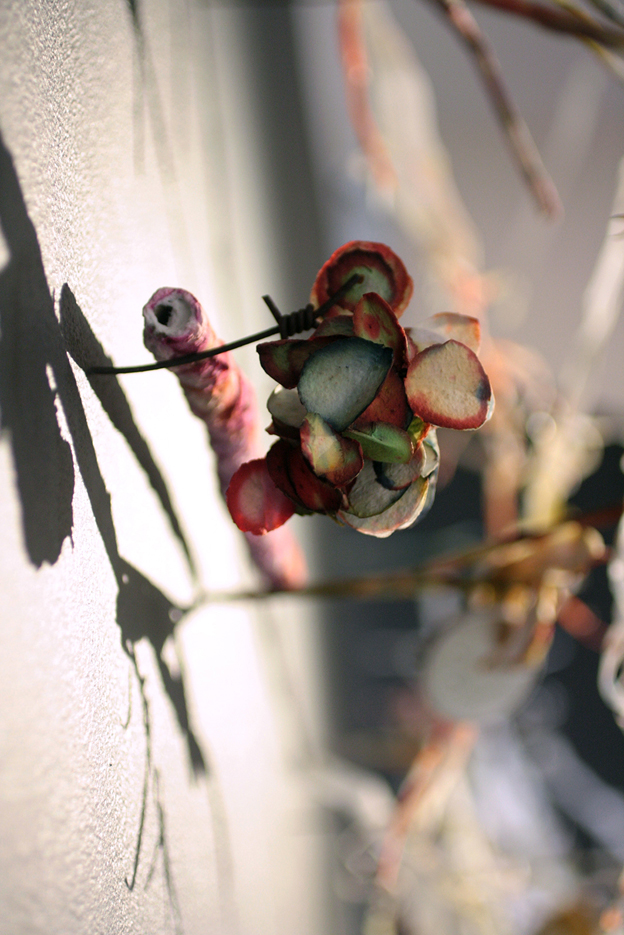 Runoff (details) 2014, as part of group exhibition at AEAF curated by André Lawrence 135th Meridian East.