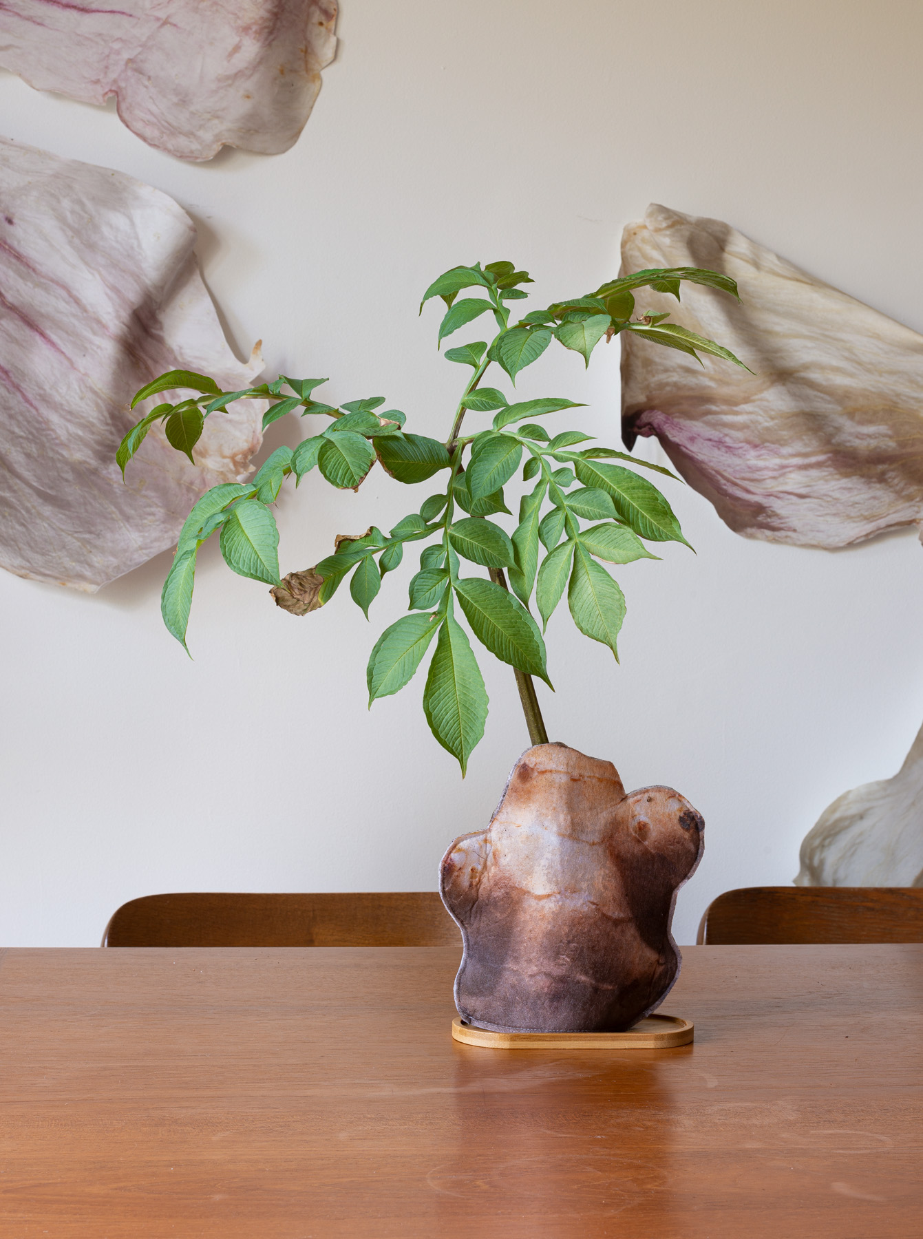 Special Special: Tubers