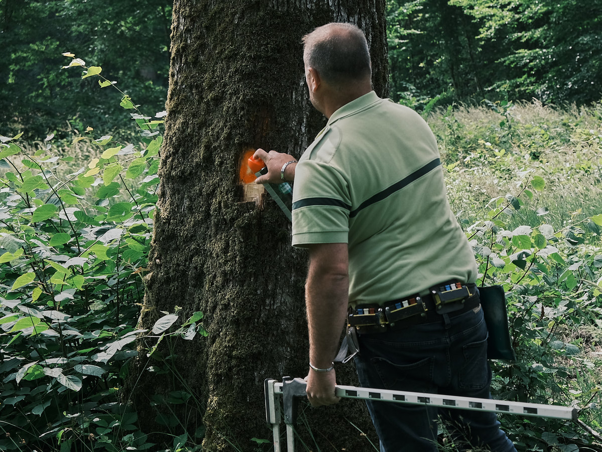 puis pour augmenter sa visibilité il appose une couleur à la bombe