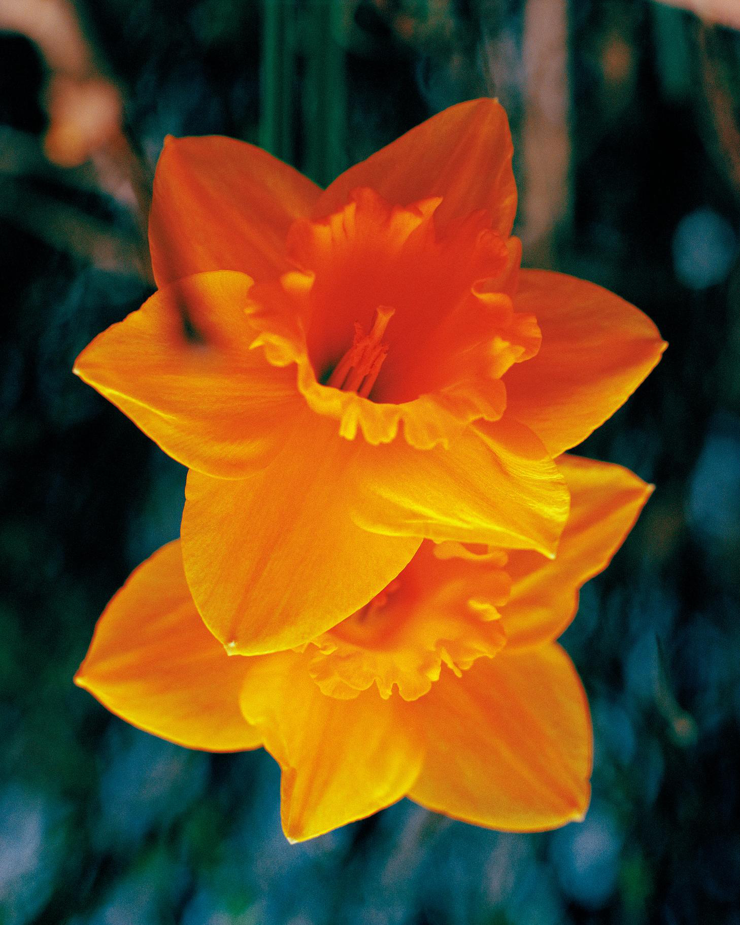 MY WALLS HAVE NO SKIN, 2024