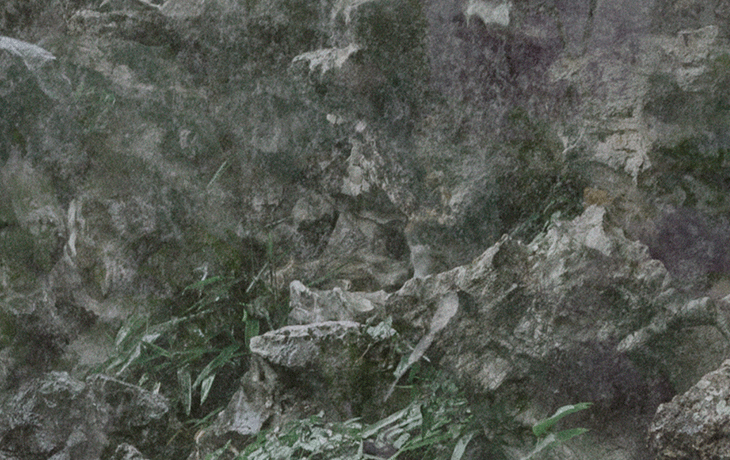 ︎ A Dream of The Peony Pavilion.