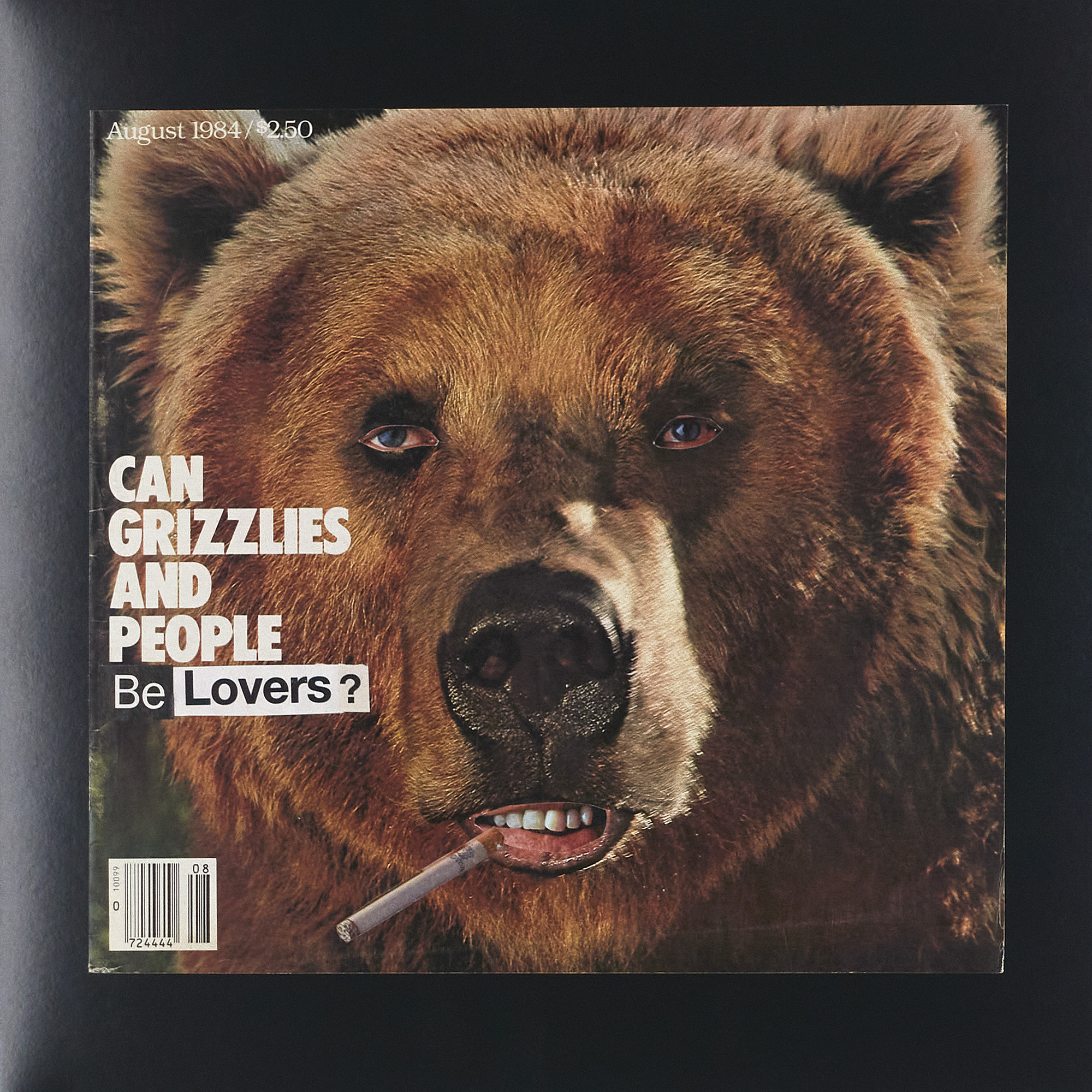 (2024) 12.25" x 12.25"