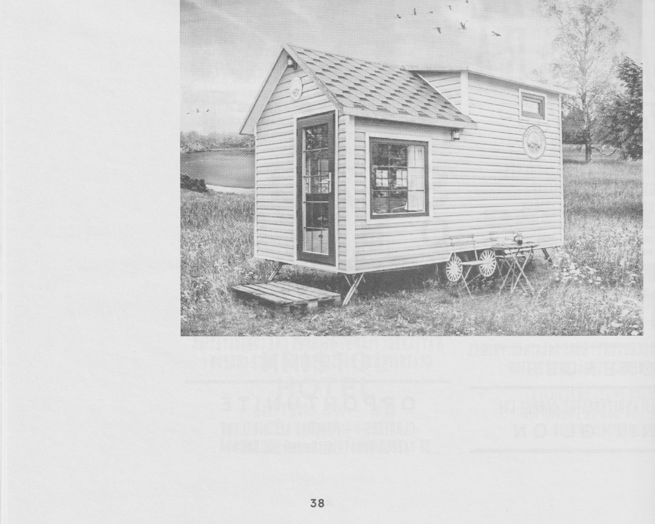 4/7 Extrait du journal Neo-cânin (p.36-38), 70 ✕ 50 cm, 2021
