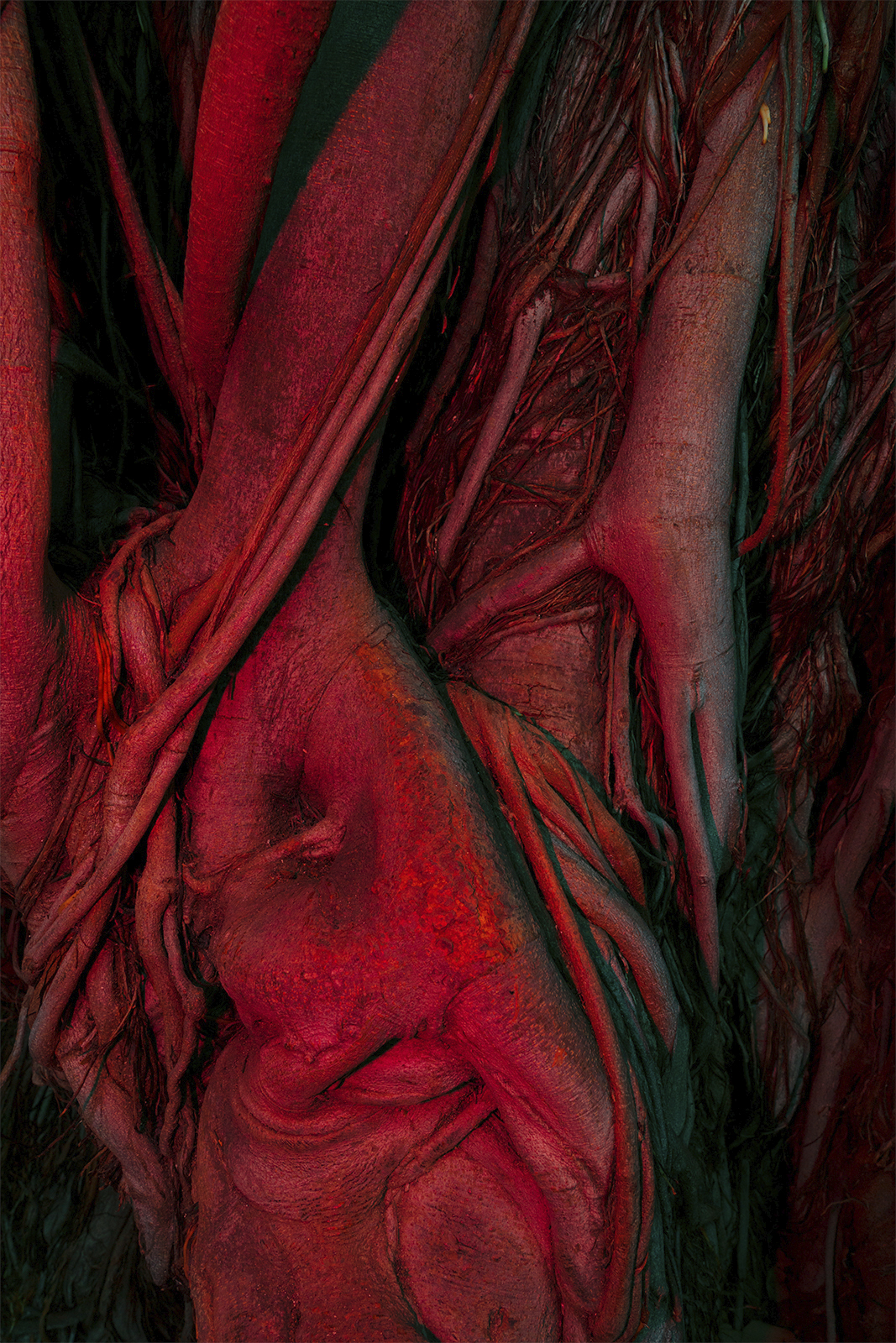 Grasp (2020)