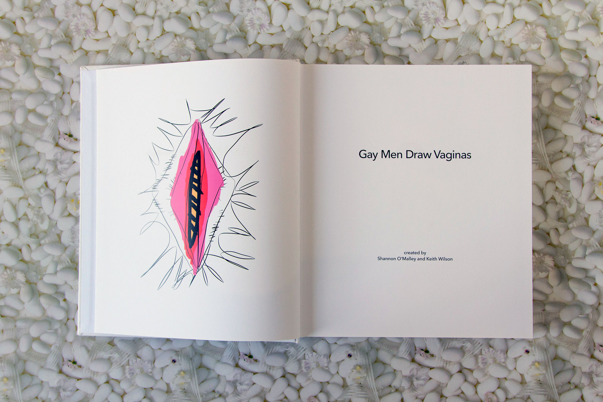Pencil Drawings Of Vaginas