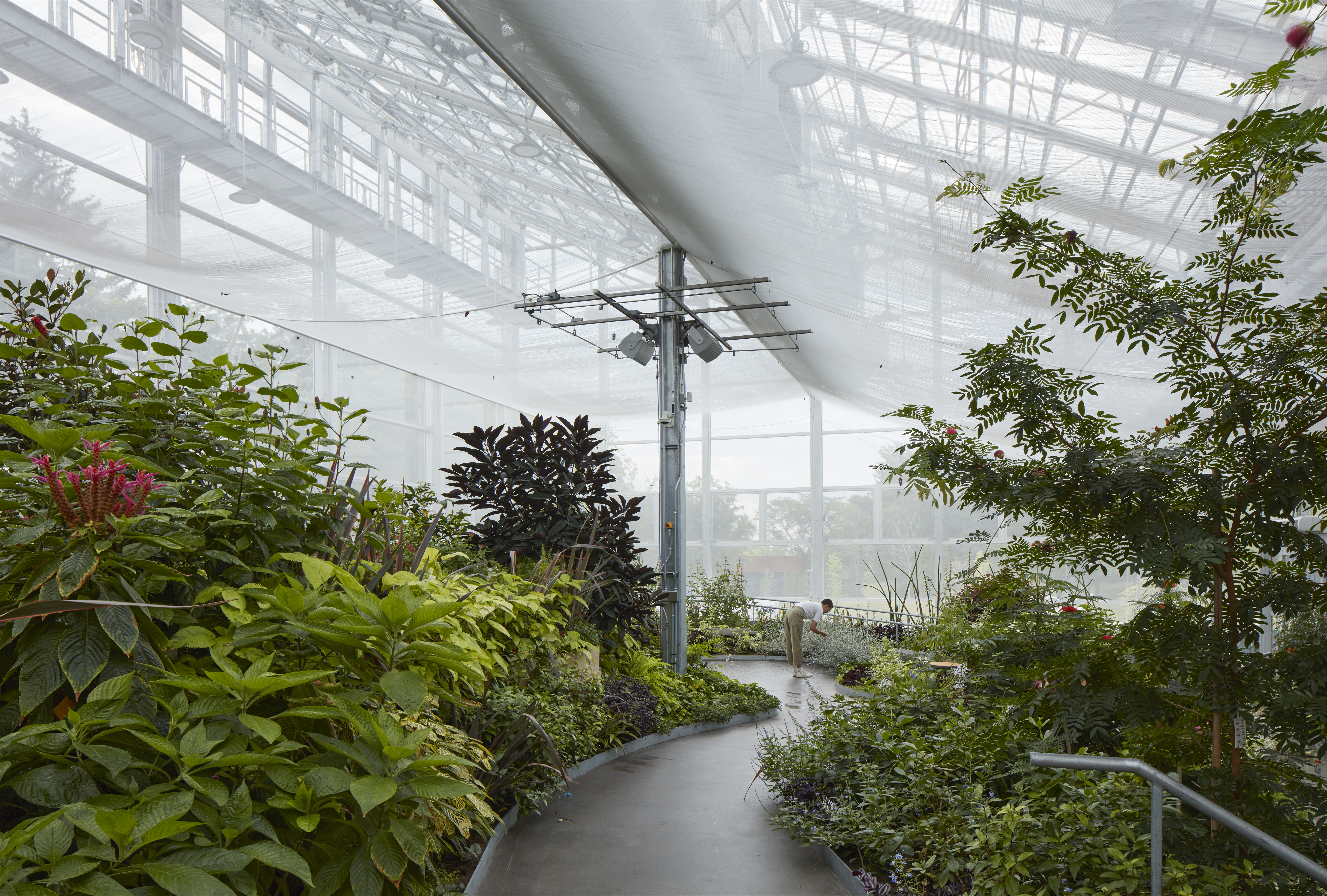  La photo du Grand Vivarium du nouvel Insectarium de Montréal prise par James Brittain remporte le prix du mérite dans la catégorie photo d’architecture de la part du magazine Canadian Architect.