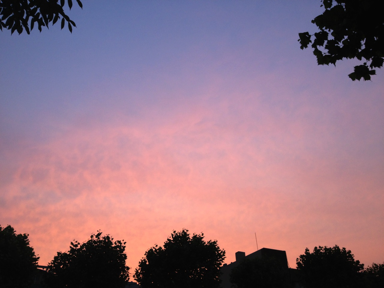 2012년 7월 2일 월요일(Republic of Korea)