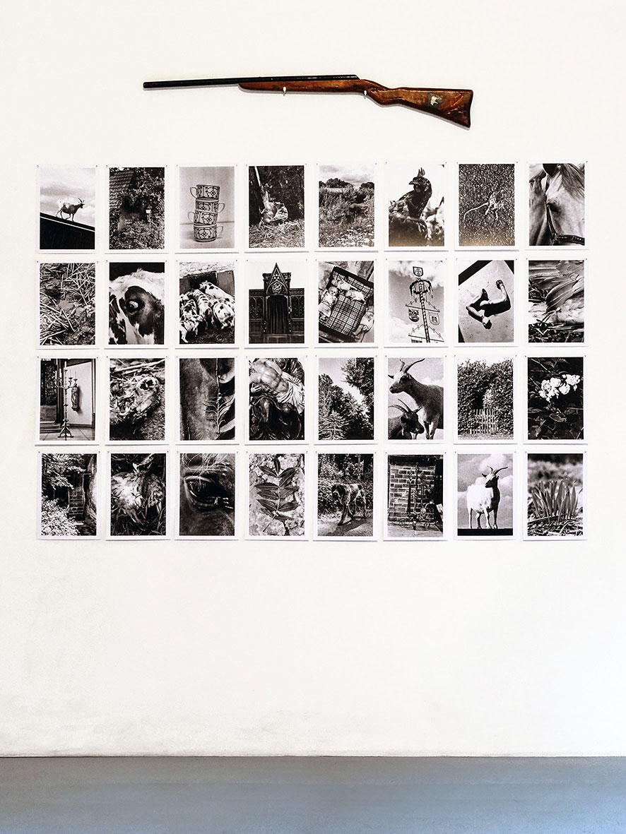 Traces - Installationsansicht