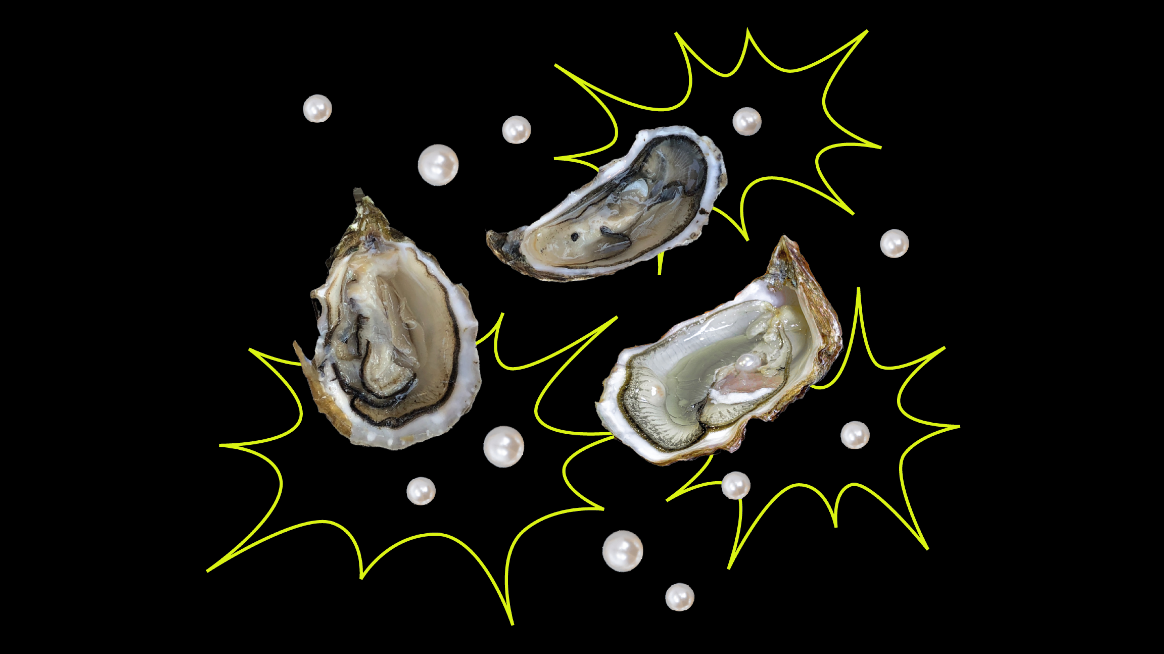 Radio LoRa  – 40 Jahre widerständig!