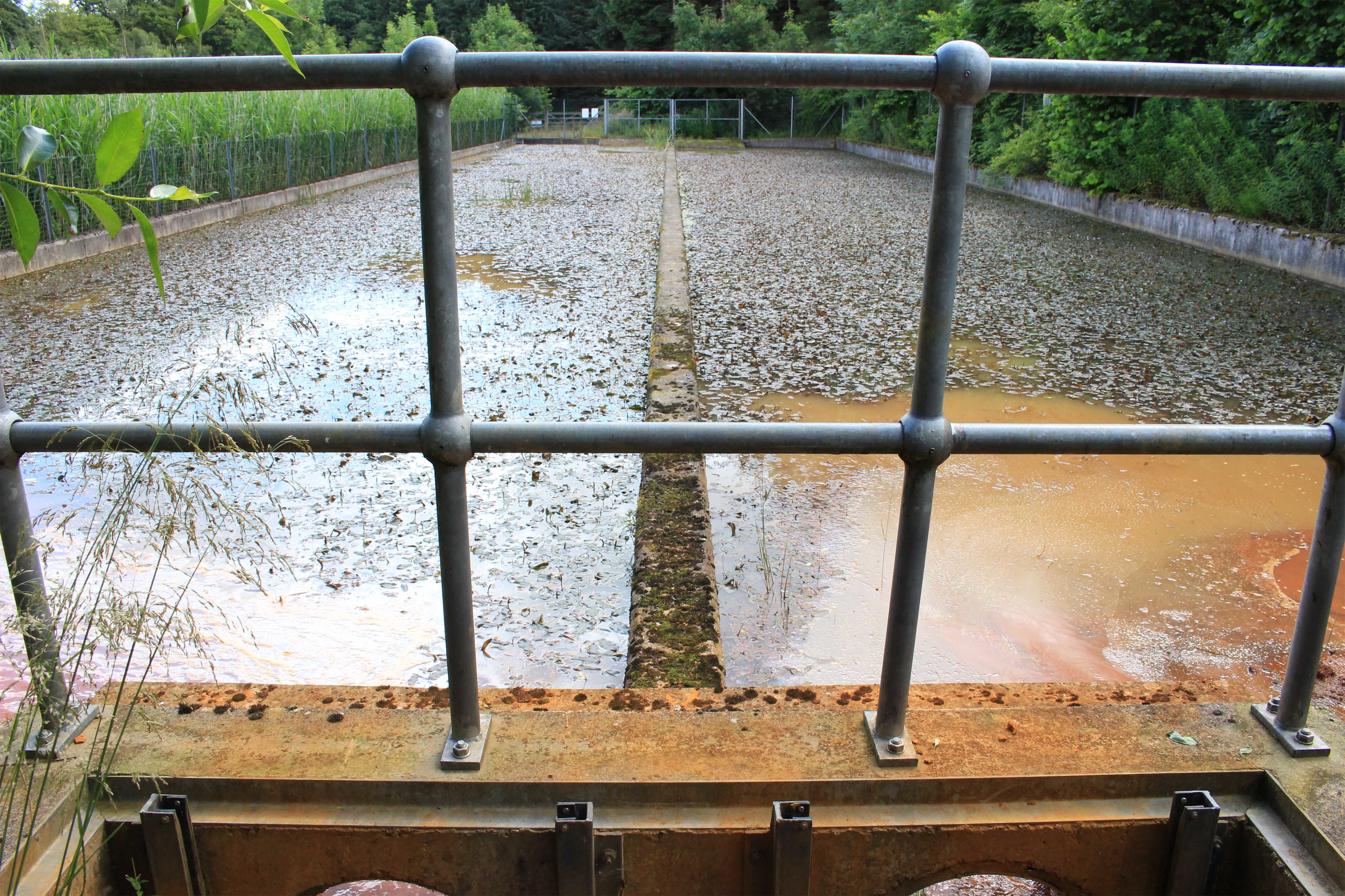 Split pond