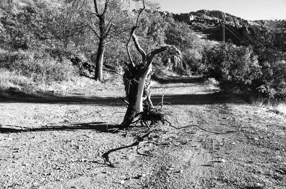 photograph, c-print, 50x60 cm, 2014